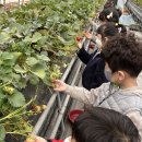 월항초등학교병설유치원 이미지