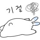 다이소홍천 이미지