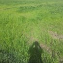 영천통합보건지소 이미지