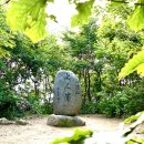 금강대가 | 청량산, 12개 봉우리 : 축융봉 ,입석-응진전, 청량사, 자소봉, 장인봉 정상-금강대 : 원점회귀 12km 산행기