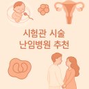 베스트비뇨기과의원 | [시험관 1편] PGT 시험관 성공, 서울 난임 병원 추천, 서울역 차병원 교수님 추천 후기
