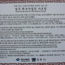 단미안나 이미지