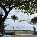 더(THE)83 이미지