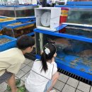 솔향강릉카라반캠핑장 이미지