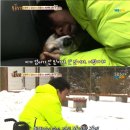 똘똘이농장 이미지