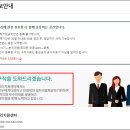 횡성군청 티스토리