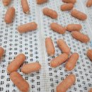 (주)씽크라이크펫 이미지