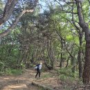 삼하리 | 인생 첫 노지 백패킹 노고산 후기 &amp; 카니발 배터리 방전...