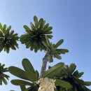 디엔세탁 이미지