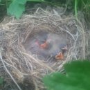 둥지농원 이미지