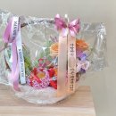 사파동365 이미지