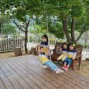 호암어린이집 이미지