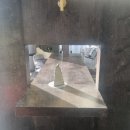 신흥애견센타 이미지