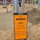 마켓진양호
