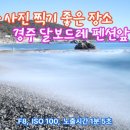 달보드레 이미지