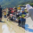이동초등학교 이미지