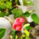 거인공인중개사사무소 이미지