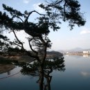 밤별2 캠핑장 이미지