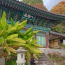 돌팀이횟집 이미지