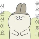 발레나식스 이미지