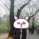 오르다수원지사 이미지
