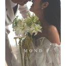 몬드스튜디오 이미지