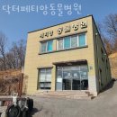 닥터페티앙동물병원 | 용인 남동 동물병원 닥터페티앙동물병원 위치 오는길 후기