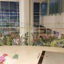 또바기약국 이미지