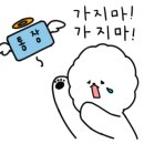 양코치 애견카페 이미지