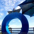 영도 바닷가 이야기 이미지