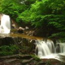 계곡풍경 이미지