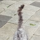 모모의여름 이미지