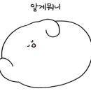 사발생국수 이미지