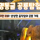 로아네 이미지