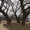 성주 성산관 이미지