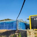 홍주농장 이미지