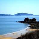 가의도 Daum카페