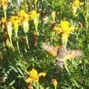 여울목별장 이미지