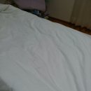 까칠한토스트 이미지