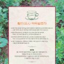 동차선가 이미지