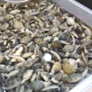 중동청과 이미지