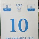 제주 봅디강