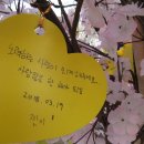 꽃보라동산 이미지