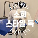 소희 스타일 독 이미지