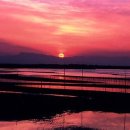 바다와 노을 이미지