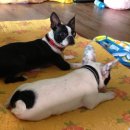 대박이 PC 이미지