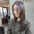 크리노브 | 수성구 미용실 에르노브 헤어에서 레이어드펌 후기