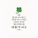 한 조각. 새 엄마. 별빛 같은 나의 사랑아! 캔디품바. 이미지