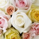 간석3동-39 이미지