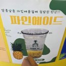 스마트짐 거제고현 | 거제도 파인애플쥬스 맛집 파인에이플러스디저트 거제고현점🍍